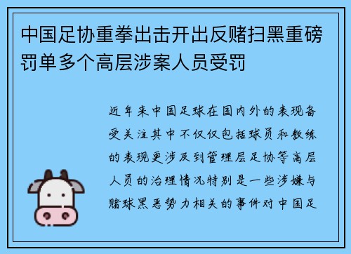中国足协重拳出击开出反赌扫黑重磅罚单多个高层涉案人员受罚 中国足协重拳出击开出反赌扫黑重磅罚单多个高层涉案人员受罚